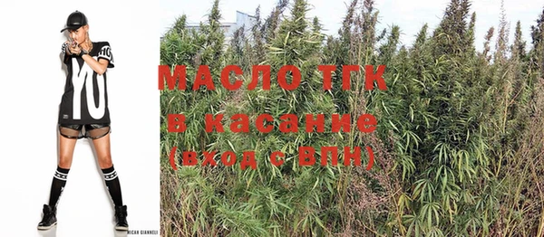 дмт Бородино
