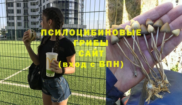первитин Белая Холуница