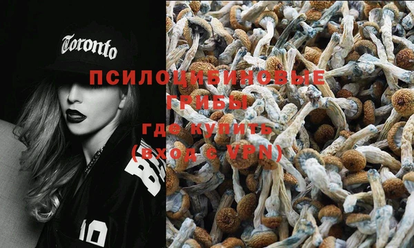 СК Михайлов