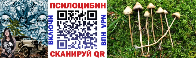 Галлюциногенные грибы мухоморы Дубовка